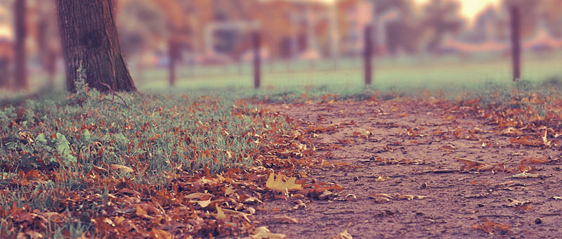 免费高速下载的短信轰炸测试